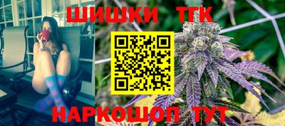 мдпв Татарск