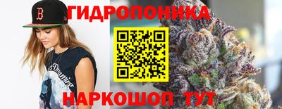 тгк Тверь