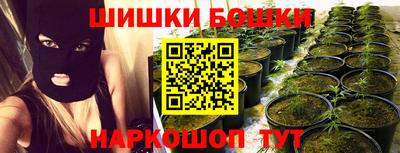 мдпв Татарск