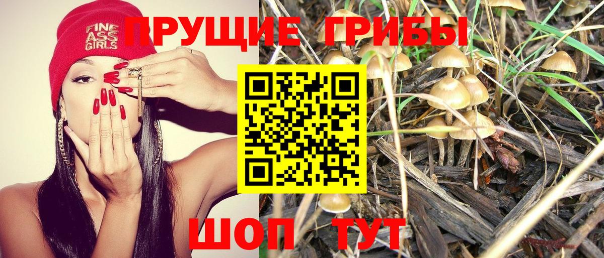Галлюциногенные грибы Cubensis Белгород